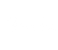Fender